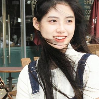 小熊历险记
